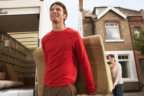 Professional movers carrying boxes in Pimlico