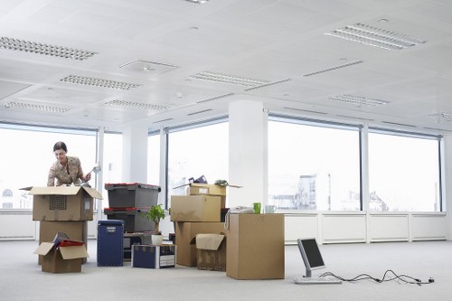 House move support from removal companies in Pimlico