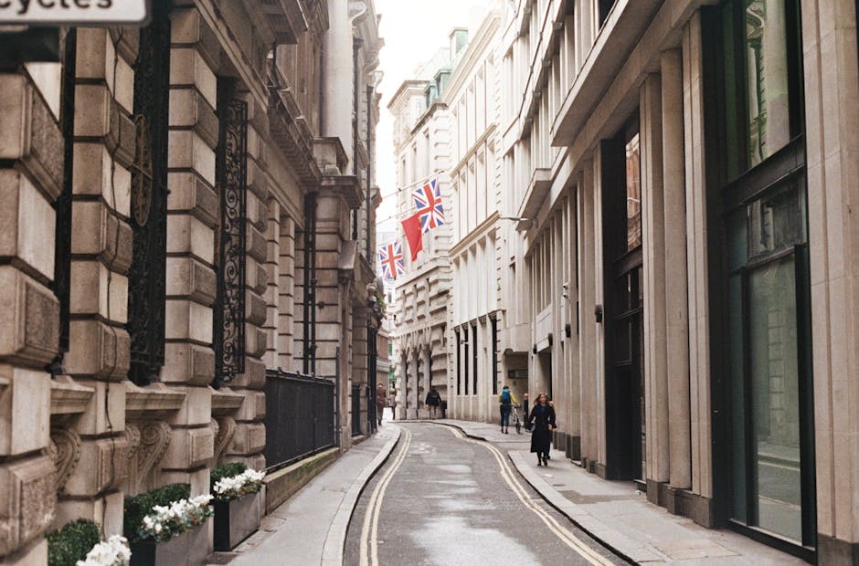 A view of a narrow street near Tate Britain in Pimlico, featuring a large, ornate historic building with classical architectural details such as columns and a domed tower, partially obscured by overha